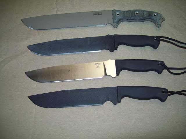 [Linked Image from i184.photobucket.com]
