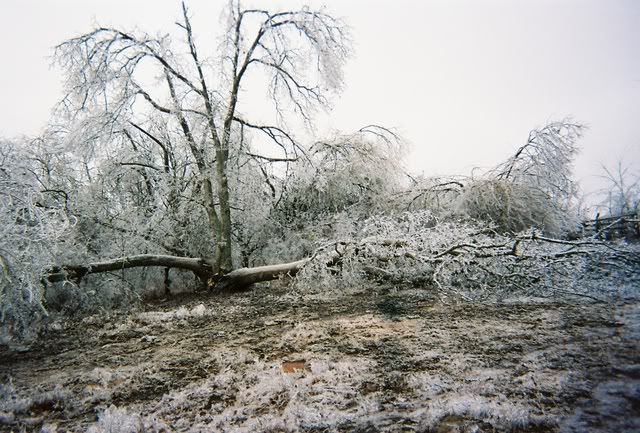[Linked Image from i184.photobucket.com]