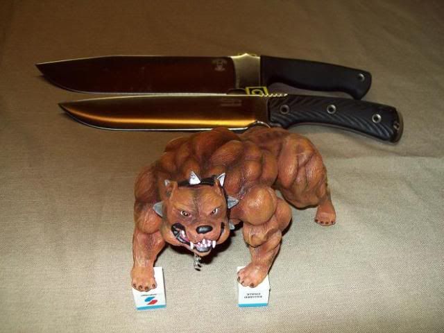 [Linked Image from i184.photobucket.com]