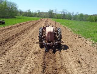 Hiller discs in tater patch