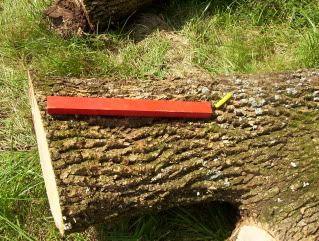 Cutting firewood the same length - Homesteading Questions