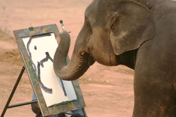 Animals Who Like to Paint (12 pics)