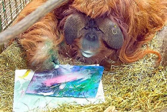 Animals Who Like to Paint (12 pics)