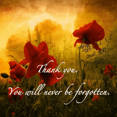 rememberance day photo: for poppy day poppies-3-20.gif