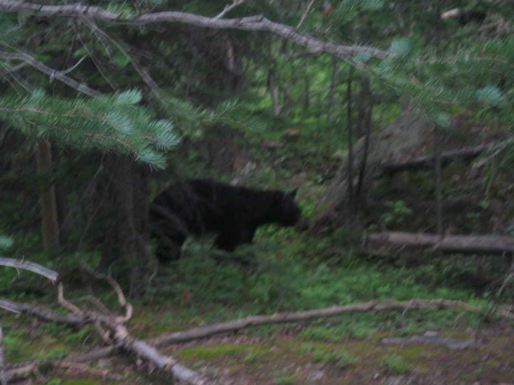 RMNP038.jpg