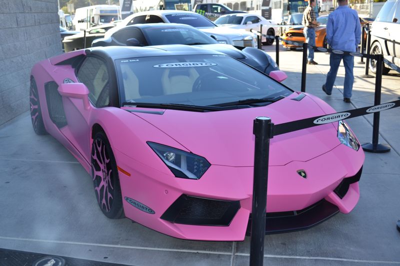 DSC_1766-1.jpg