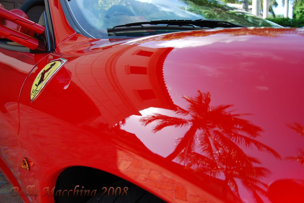 red005.jpg