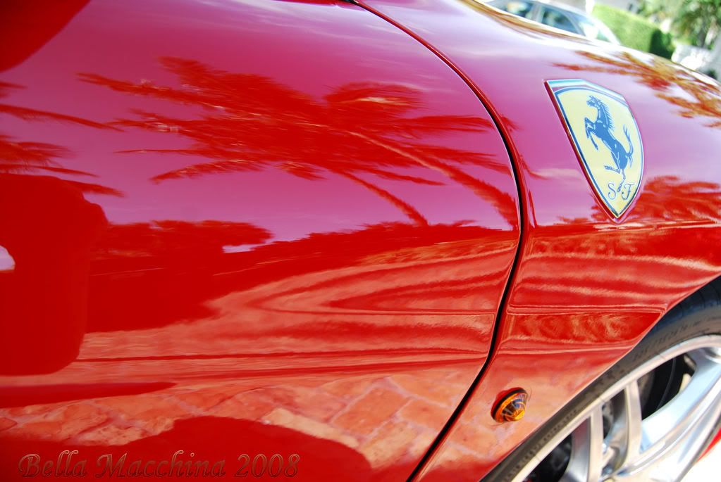 red006.jpg