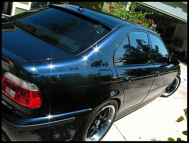 m3026.jpg