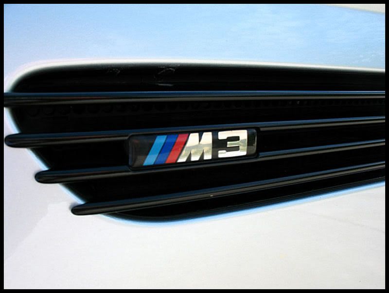 mseries008.jpg