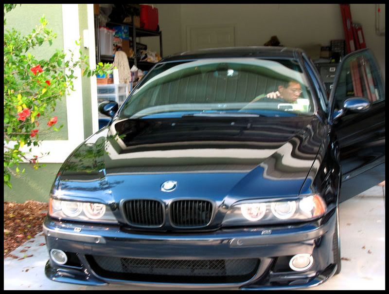 mseries023.jpg