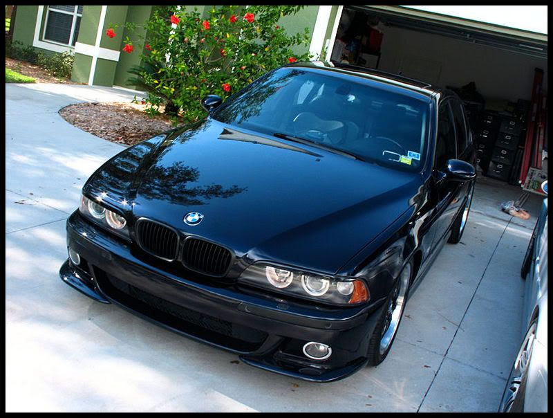mseries031.jpg