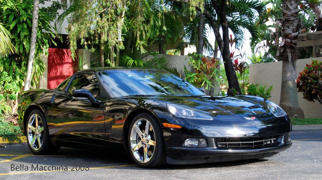 corvette019.jpg