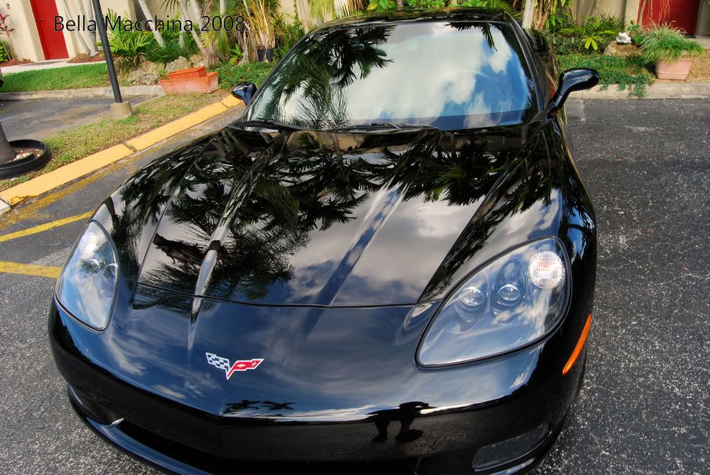 corvette021.jpg