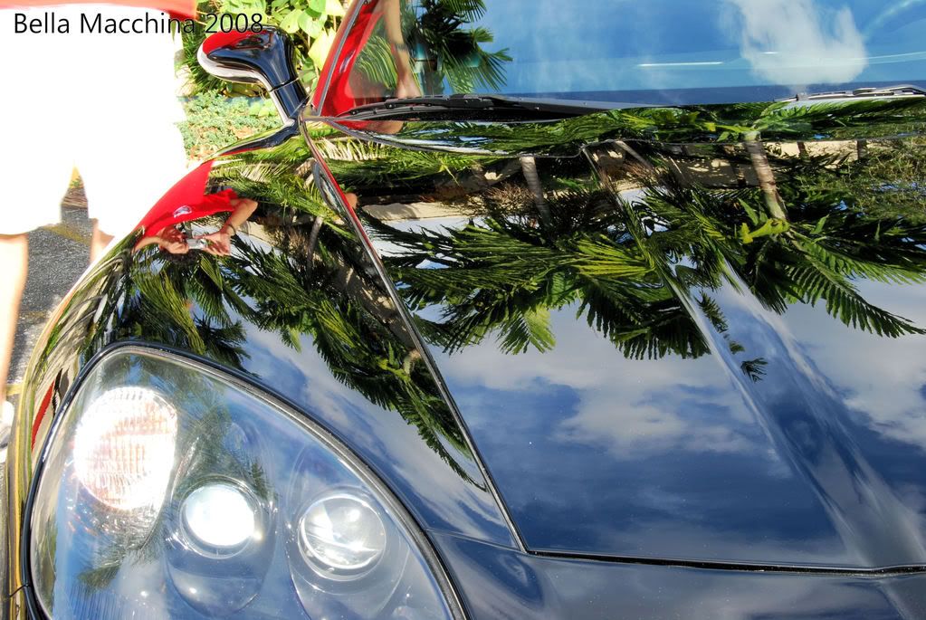 corvette029.jpg