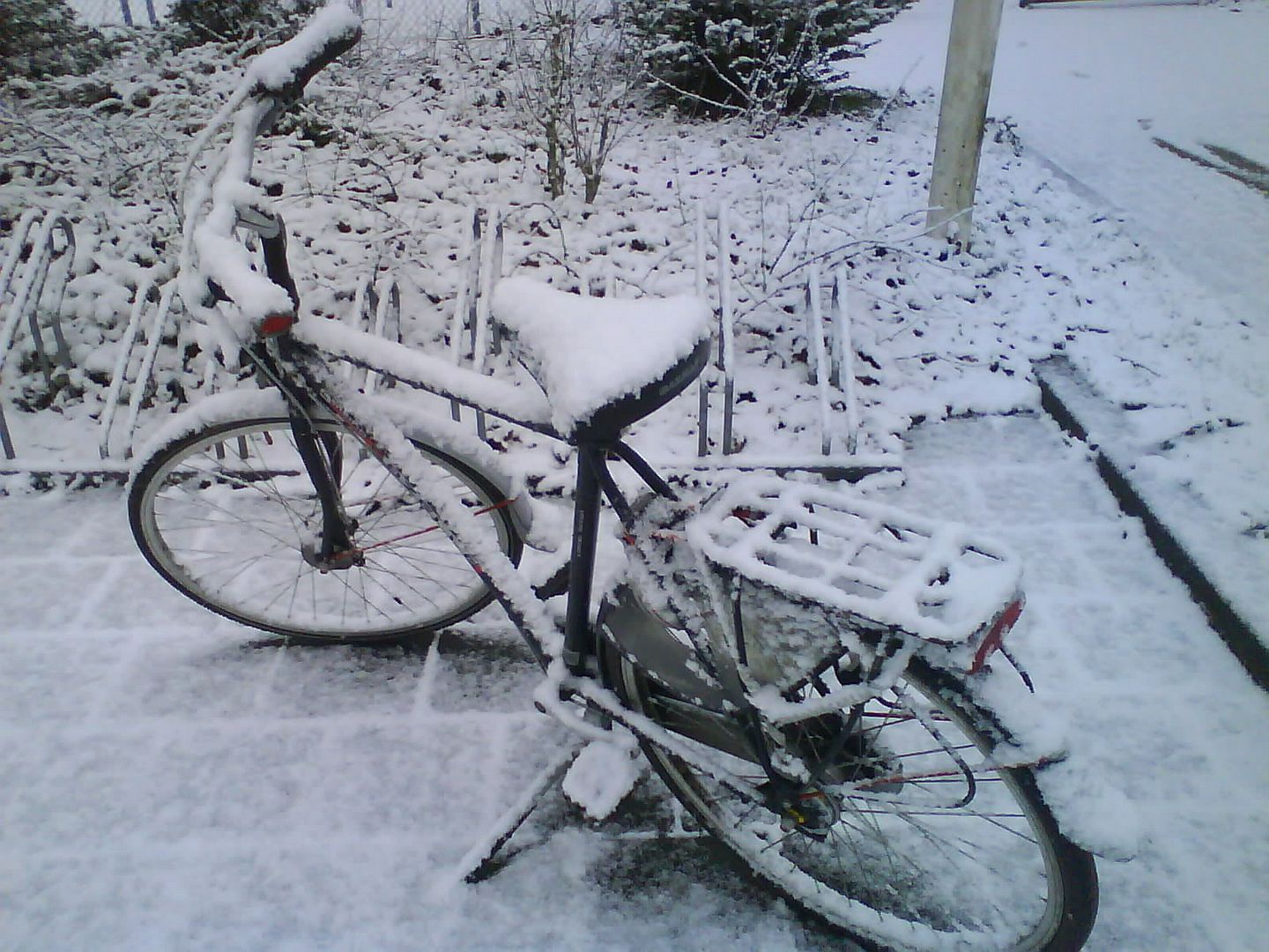DSC00112-2.jpg