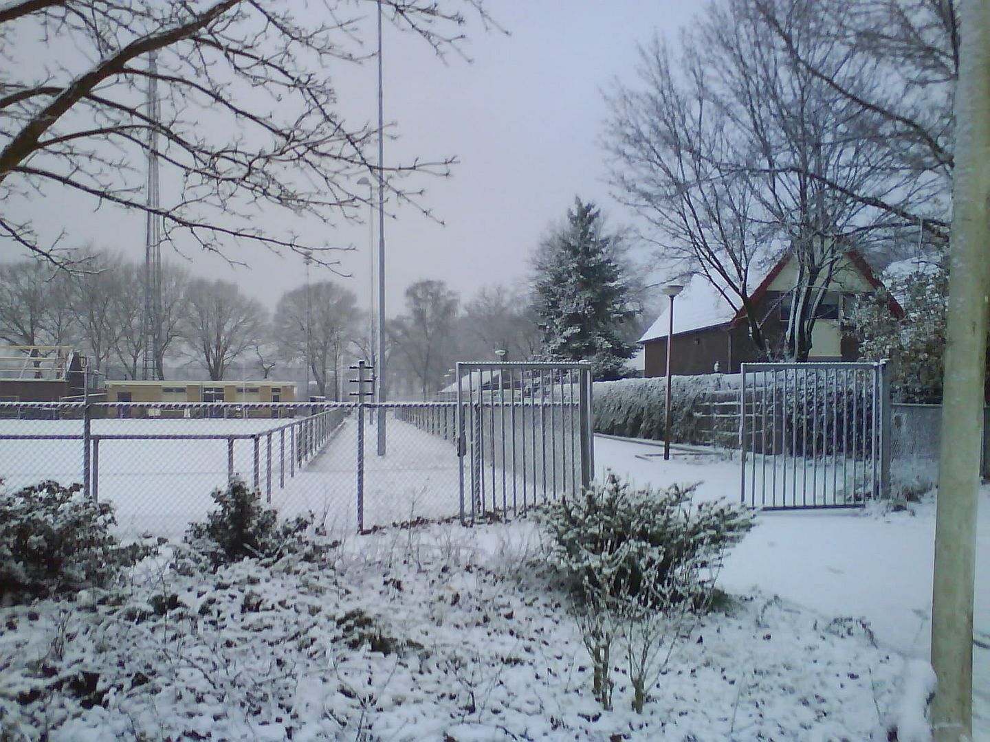DSC00114-2.jpg