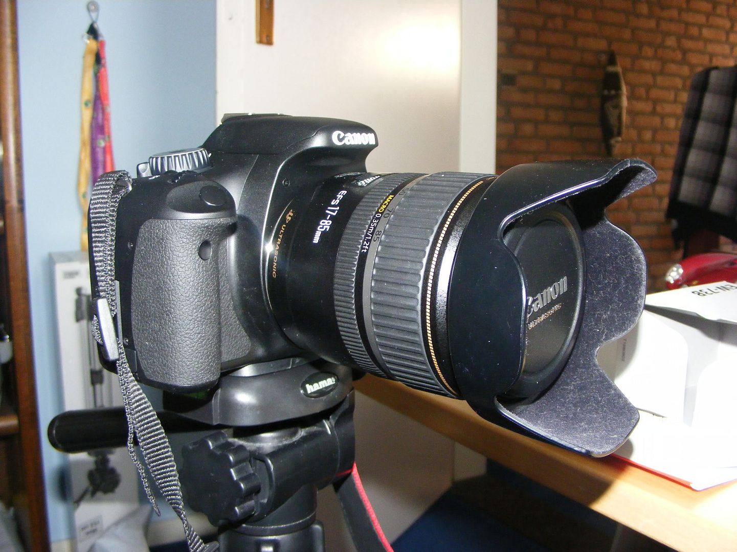 DSCF5718.jpg