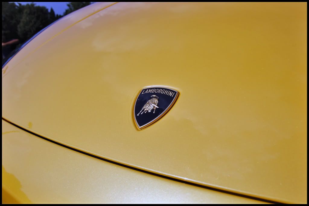 2006YellowLamborghiniGallardoSpy-6.jpg