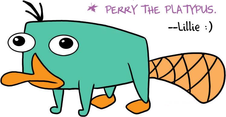 perry. Tags: phineas and ferb