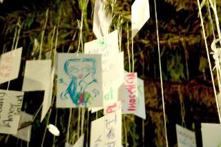 CRW_3205-1.jpg picture by anchelikita