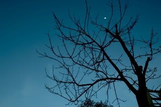 CRW_3408-1.jpg picture by anchelikita