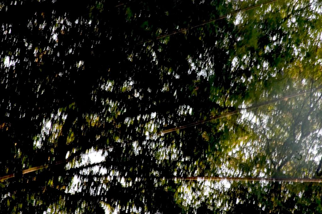 CRW_7645.jpg picture by anchelikita
