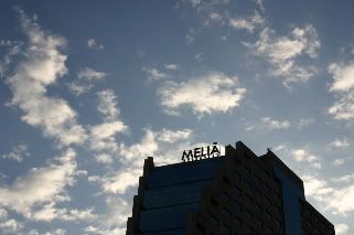 IMG_3464elegida-1.jpg picture by anchelikita