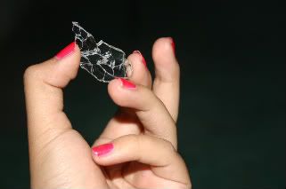 IMG_3848-1.jpg picture by anchelikita