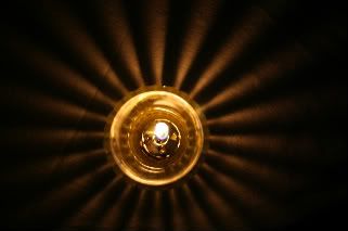 IMG_4400-1.jpg picture by anchelikita