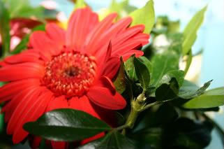 IMG_4546-1.jpg picture by anchelikita