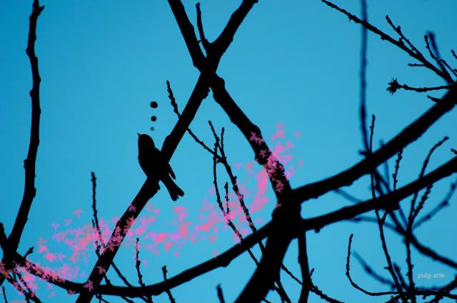 bird9-1.jpg picture by anchelikita