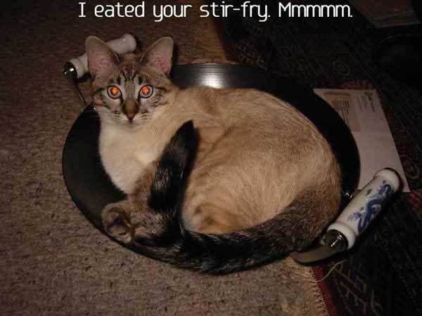 Stir Fry