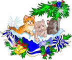728.gif kittens image by cherpatsy