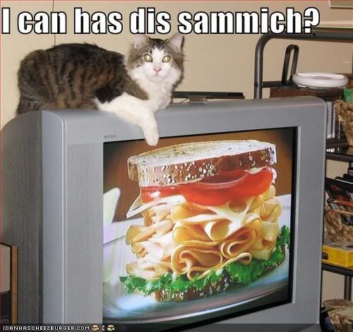 sammich.jpg