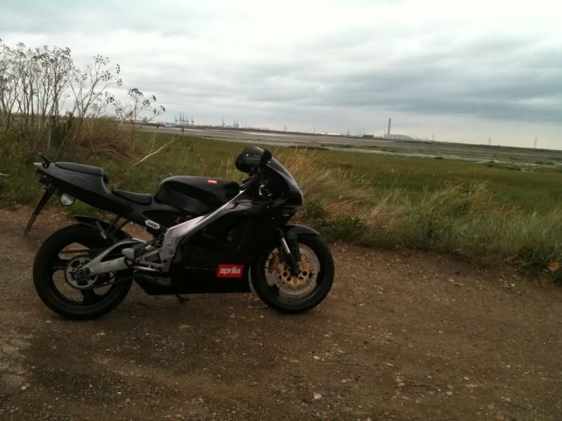Posted Image