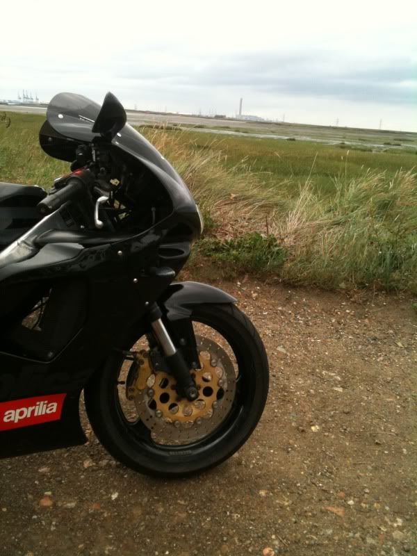Posted Image