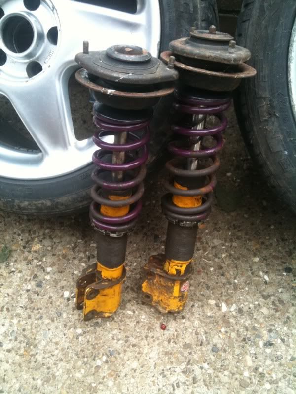 MacPherson Struts? Detailing World