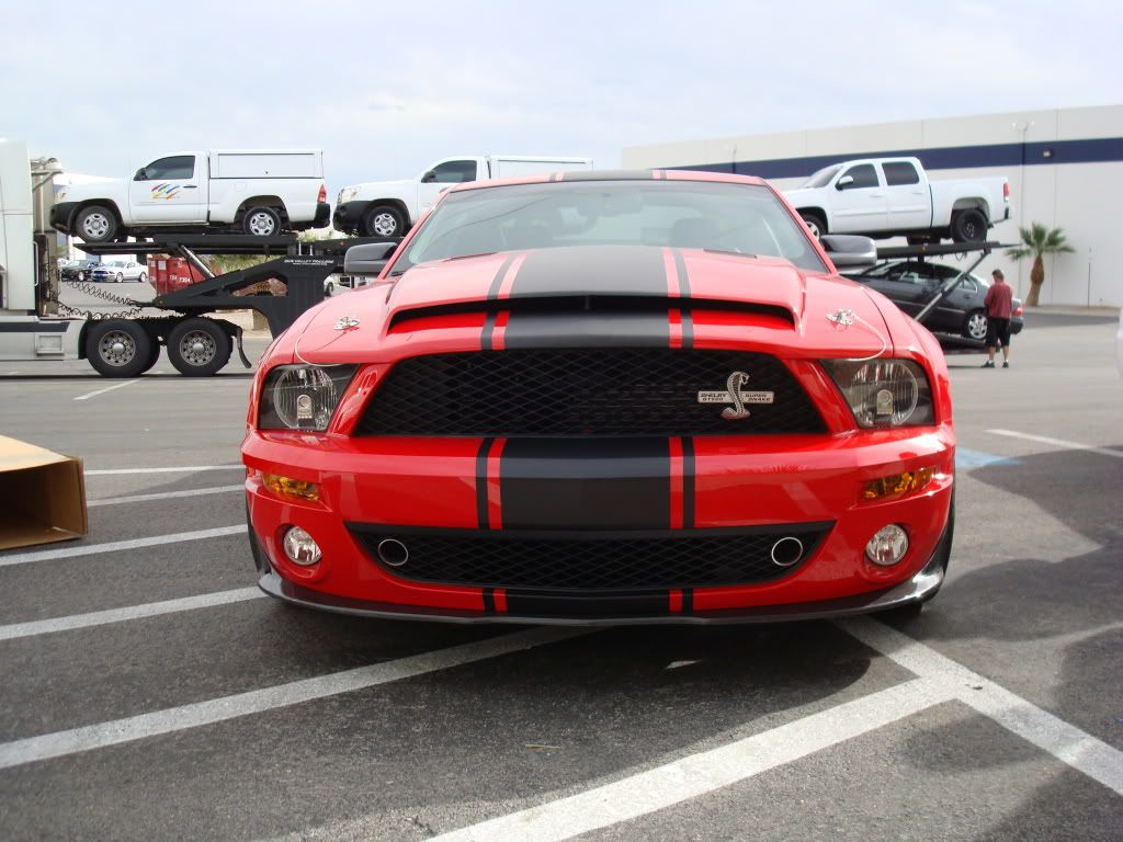 Shelby008.jpg