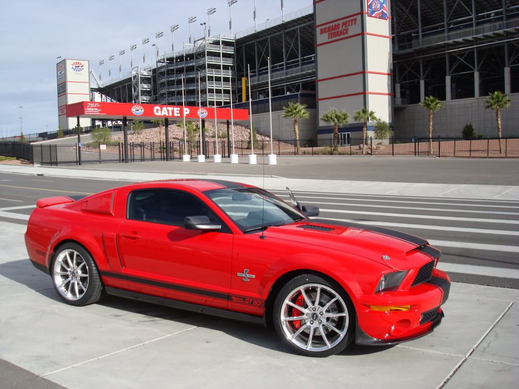 Shelby019.jpg