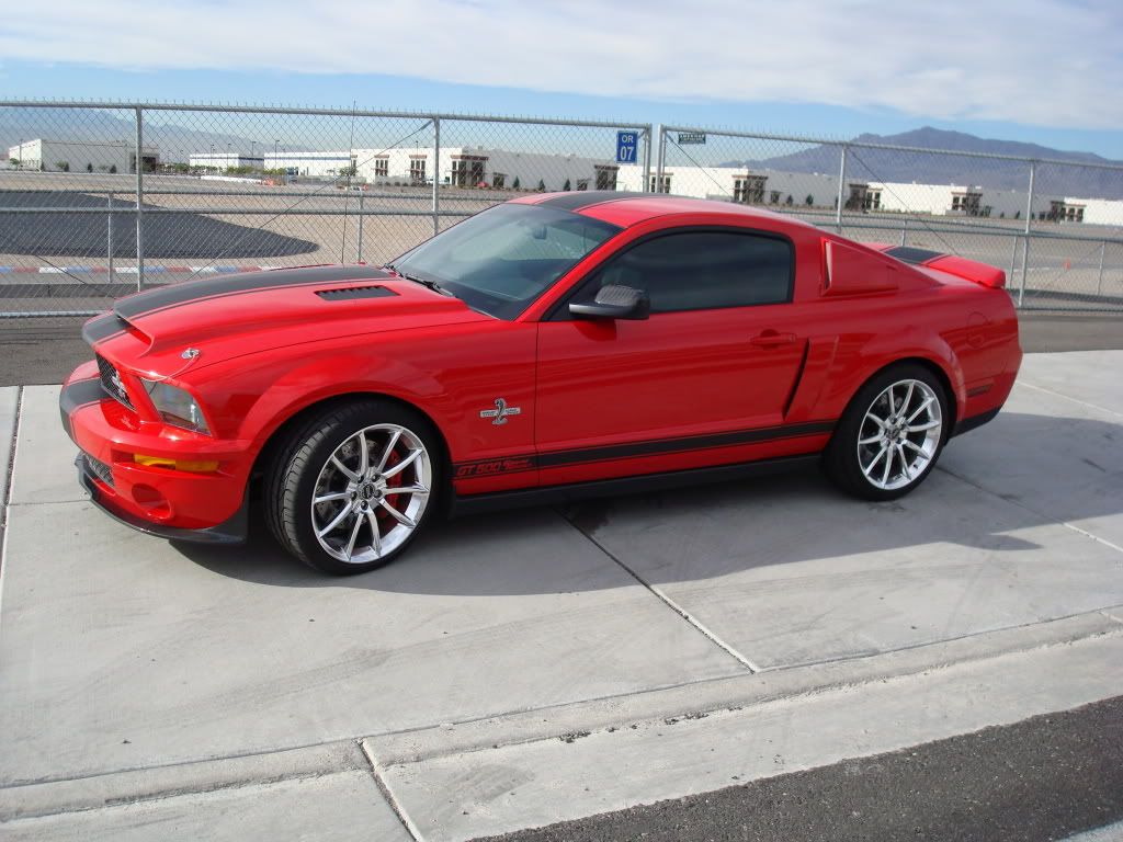 Shelby024.jpg