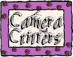 Camera Critters
