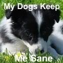 My Dogs Keep Me Sane