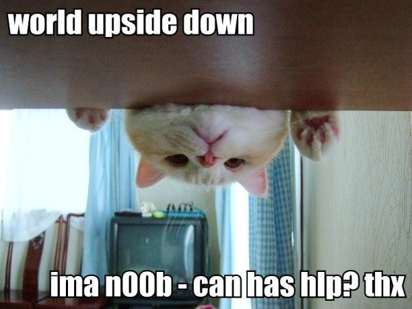 ze_lolcat.png