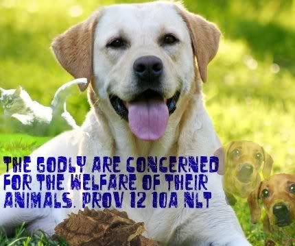 verses in bible Pictures, Images and Photos