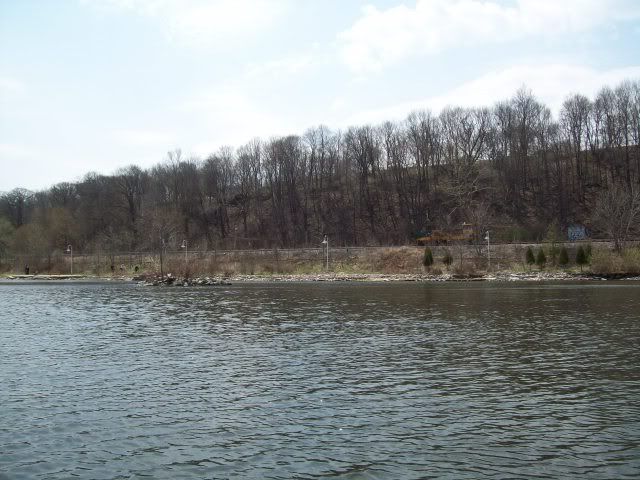 100_0703.jpg
