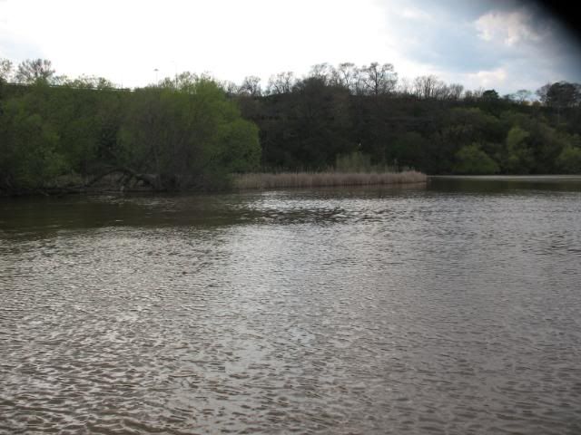 IMG_1868.jpg