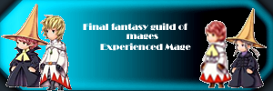 TheFinalFantasyGuildOfMagessigExper.png