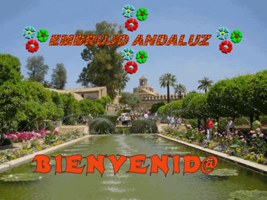 EMBRUJOANDALUZN2.gif picture by charicor