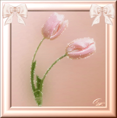 flowers tulips pink.gif Pictures, Images and Photos